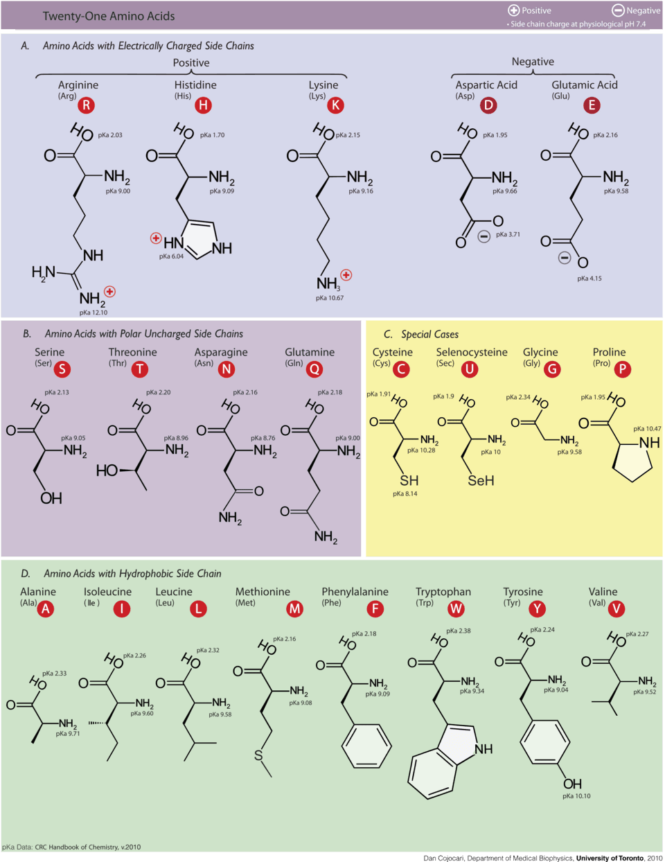 Chart of amino acid chemical structures with names and side-chain information