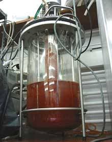 Red-brown enrichment culture of anaerobic ammonium-oxidizing anammox bacteria in a reactor vessel.