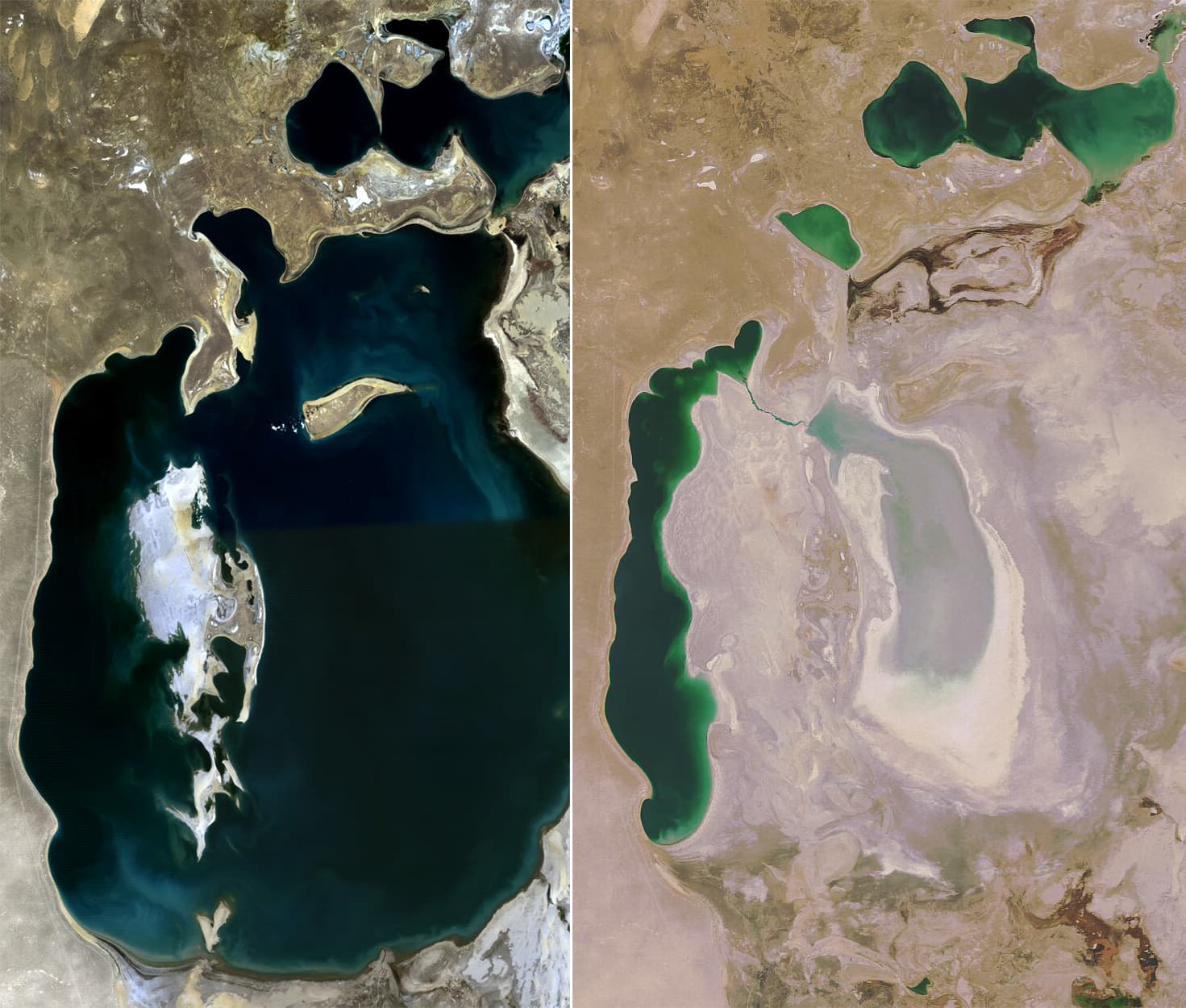 Satellite comparison image showing the Aral Sea shrinking between 1989 and 2008