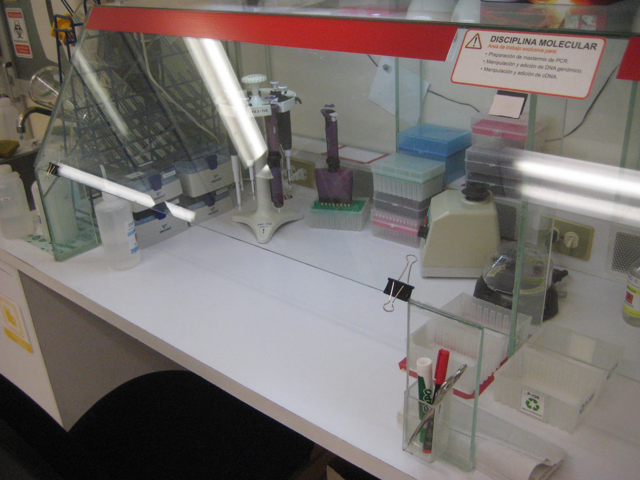Laboratory bench prepared for PCR setup with pipettes, tubes, and molecular biology equipment