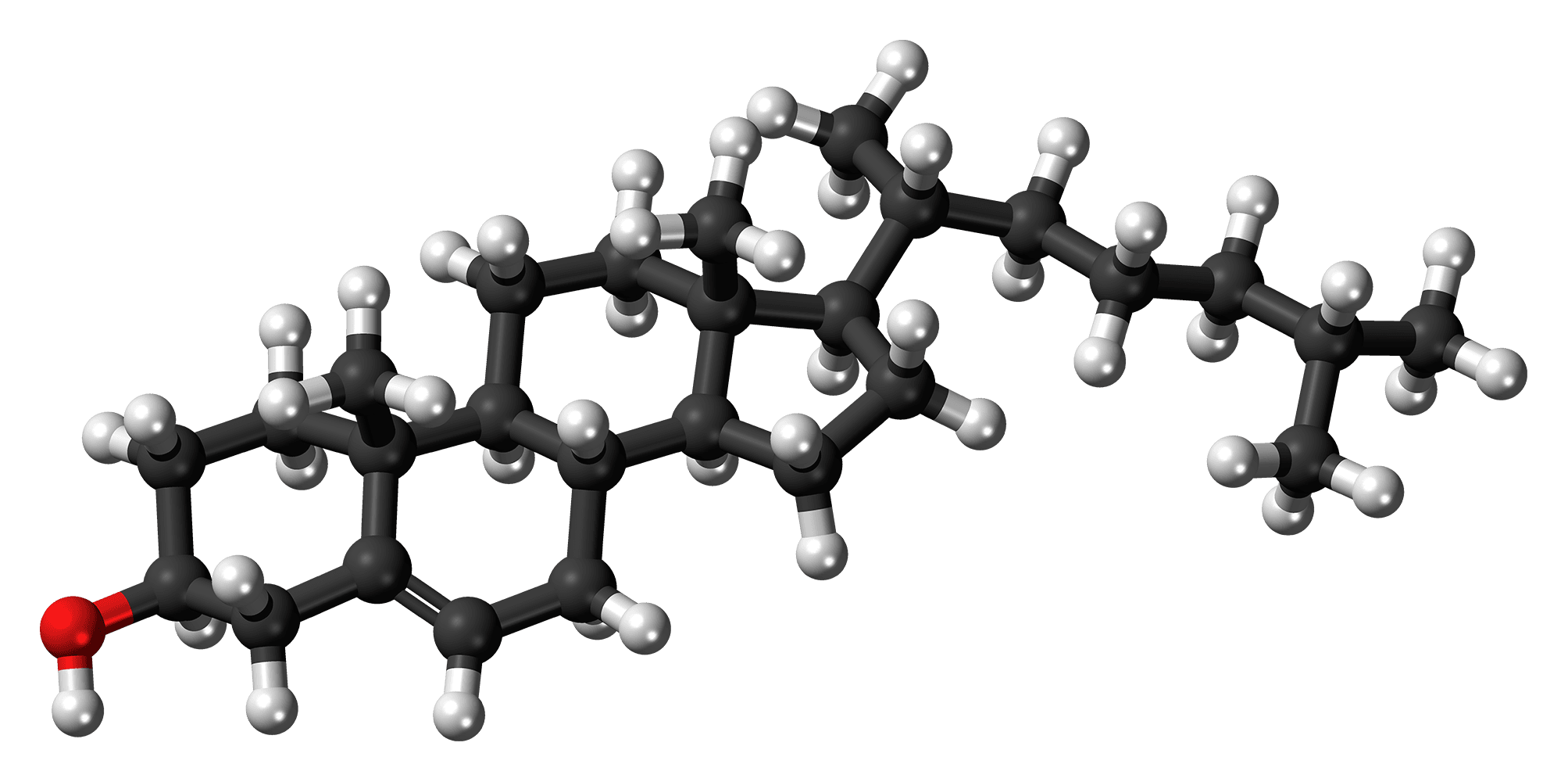 Ball-and-stick molecular model of cholesterol.