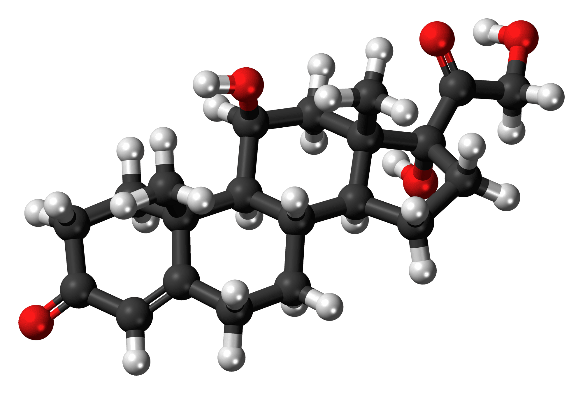 Ball-and-stick molecular model of cortisol.
