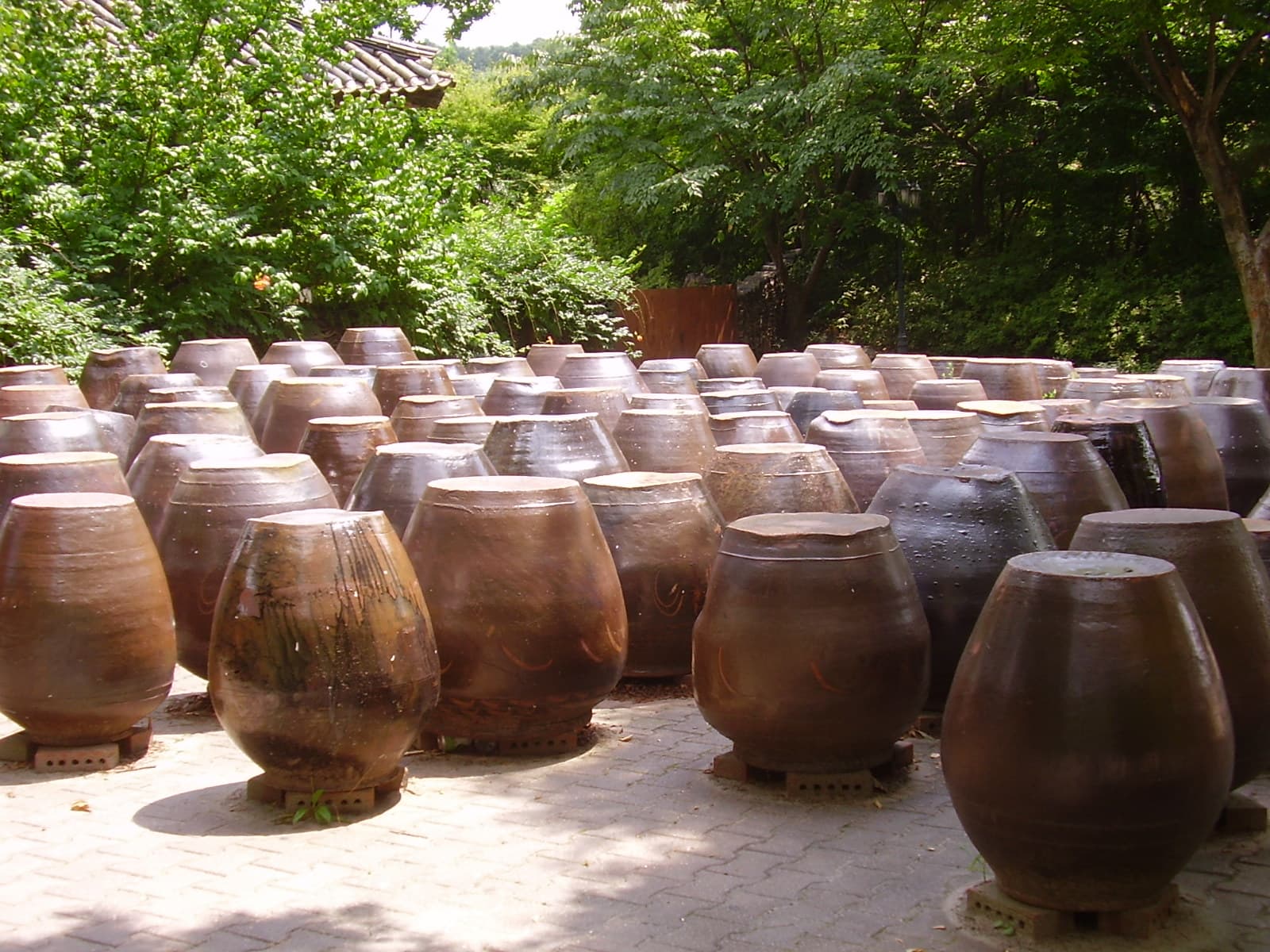 Traditional ceramic jars used for fermenting kimchi, soybeans, and other foods