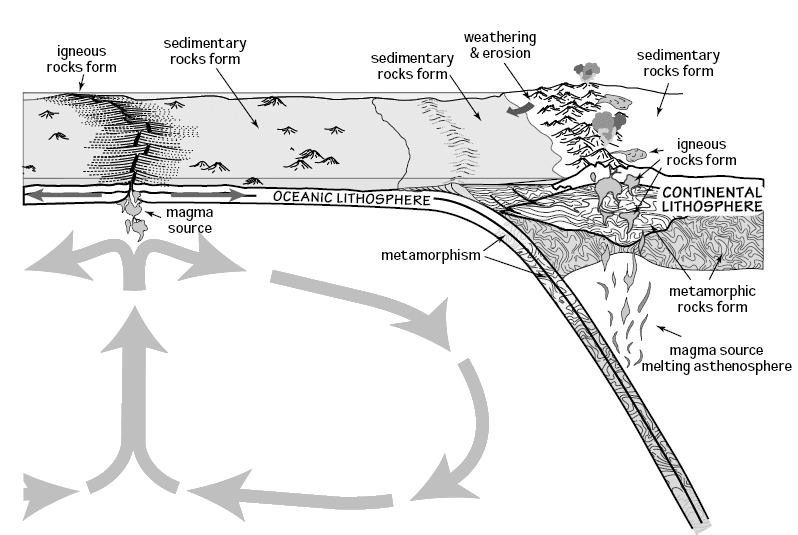 Diagram showing the rock cycle among igneous, sedimentary, and metamorphic rocks