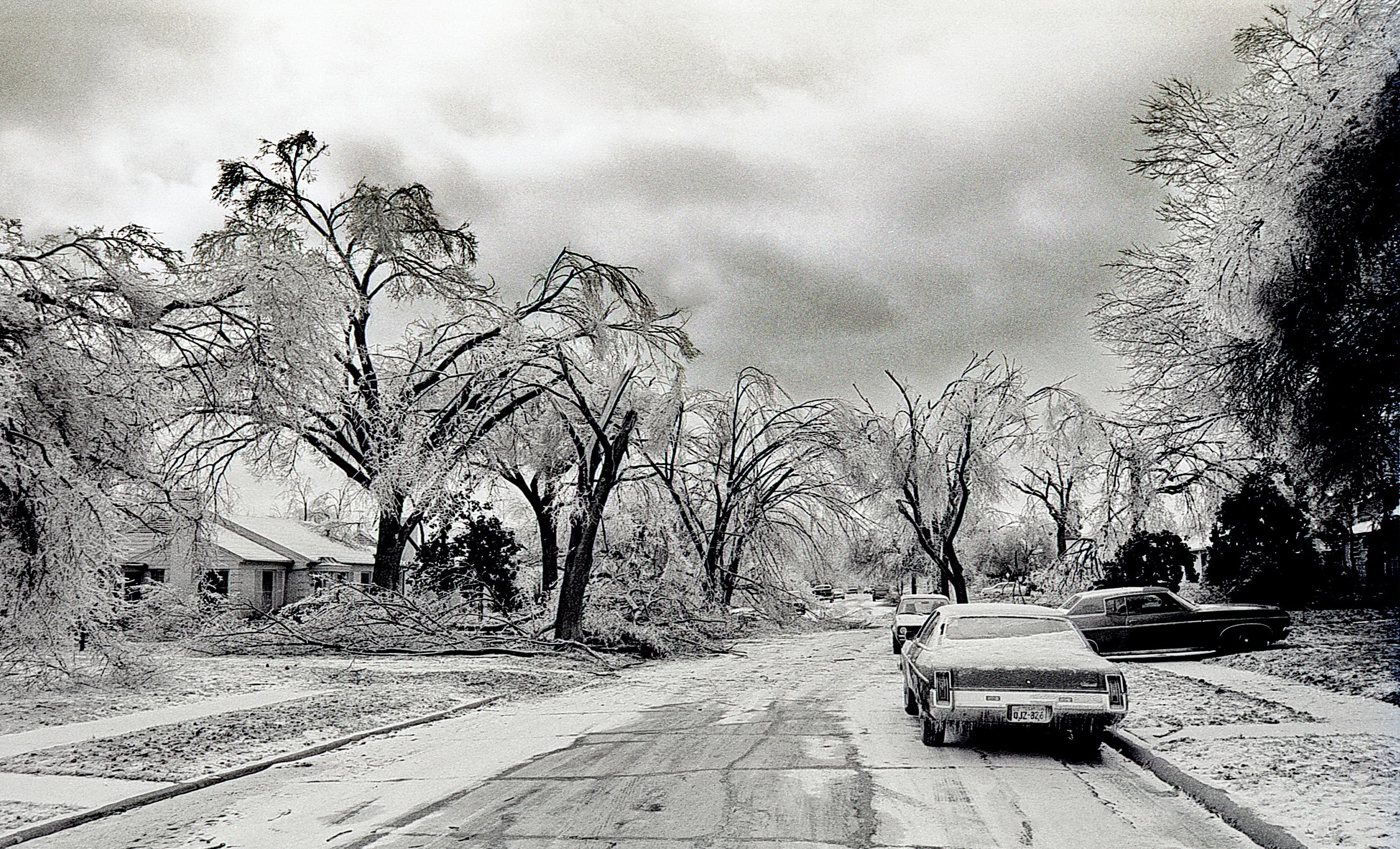 Ice-coated road, trees, and utility lines during the January 1979 Dallas ice storm.