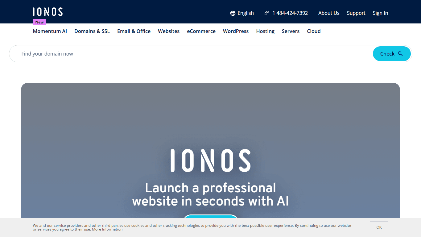 IONOS homepage screenshot of the official website interface