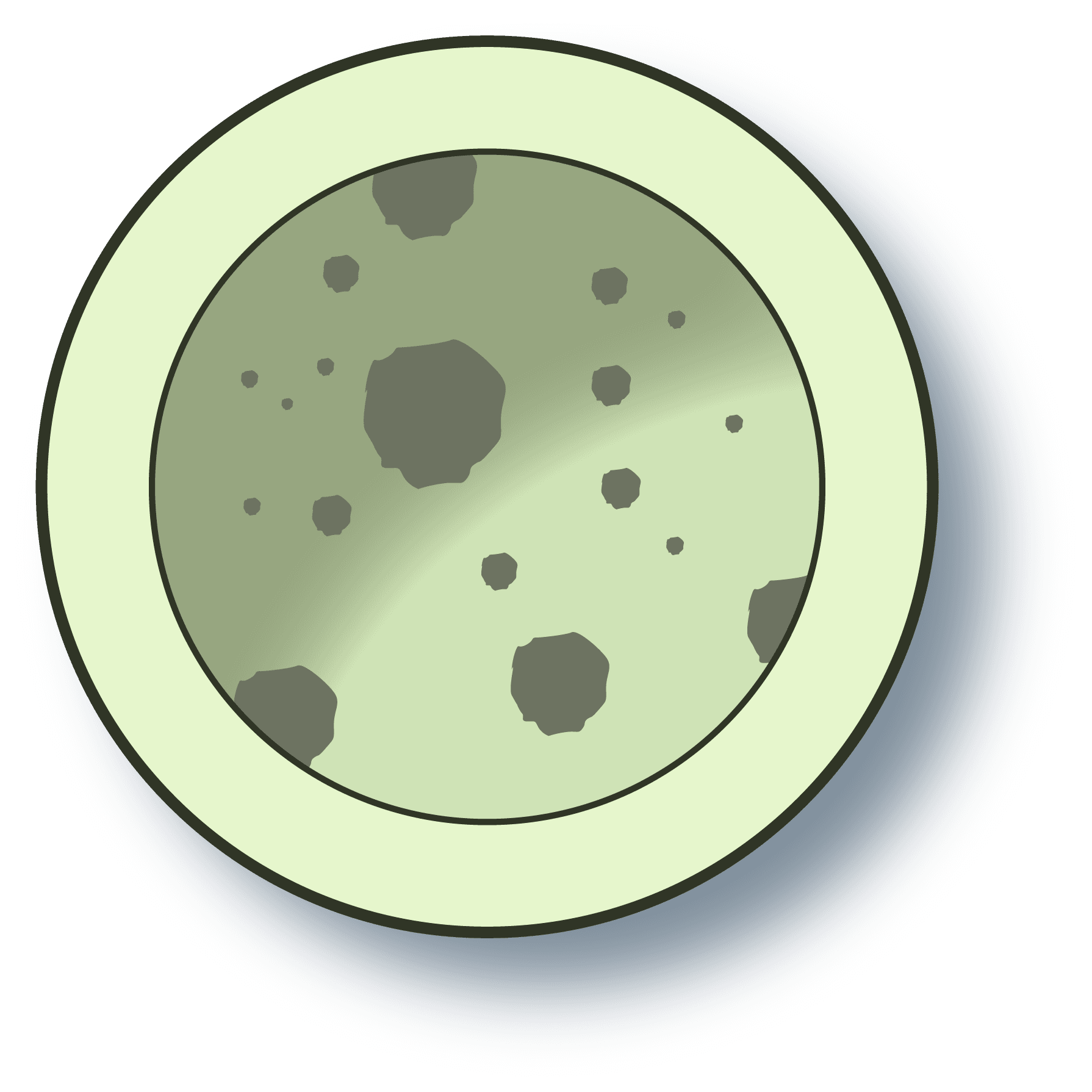 Illustration of lysosomes as membrane-enclosed organelles inside a cell.