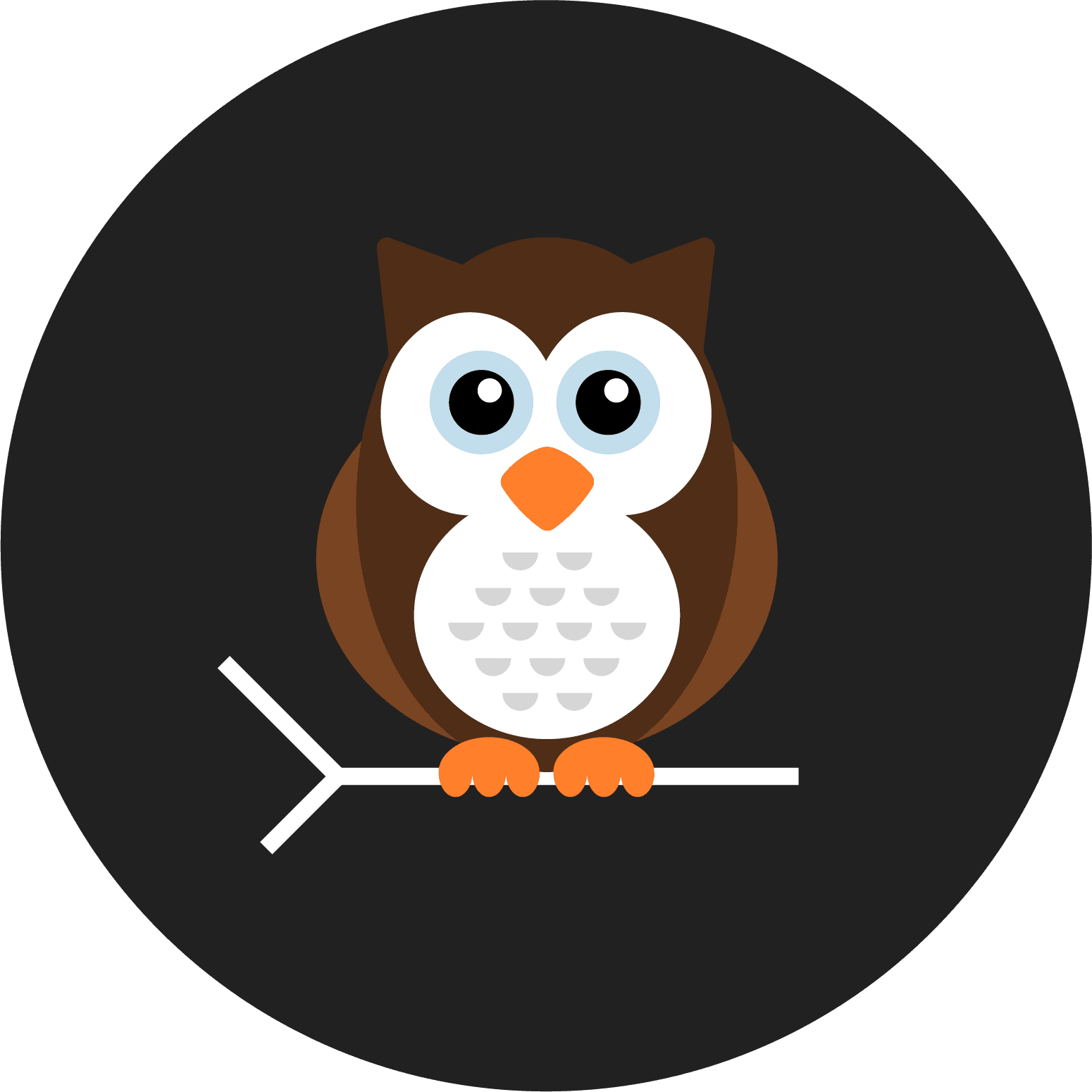 Nightwatch owl logo.