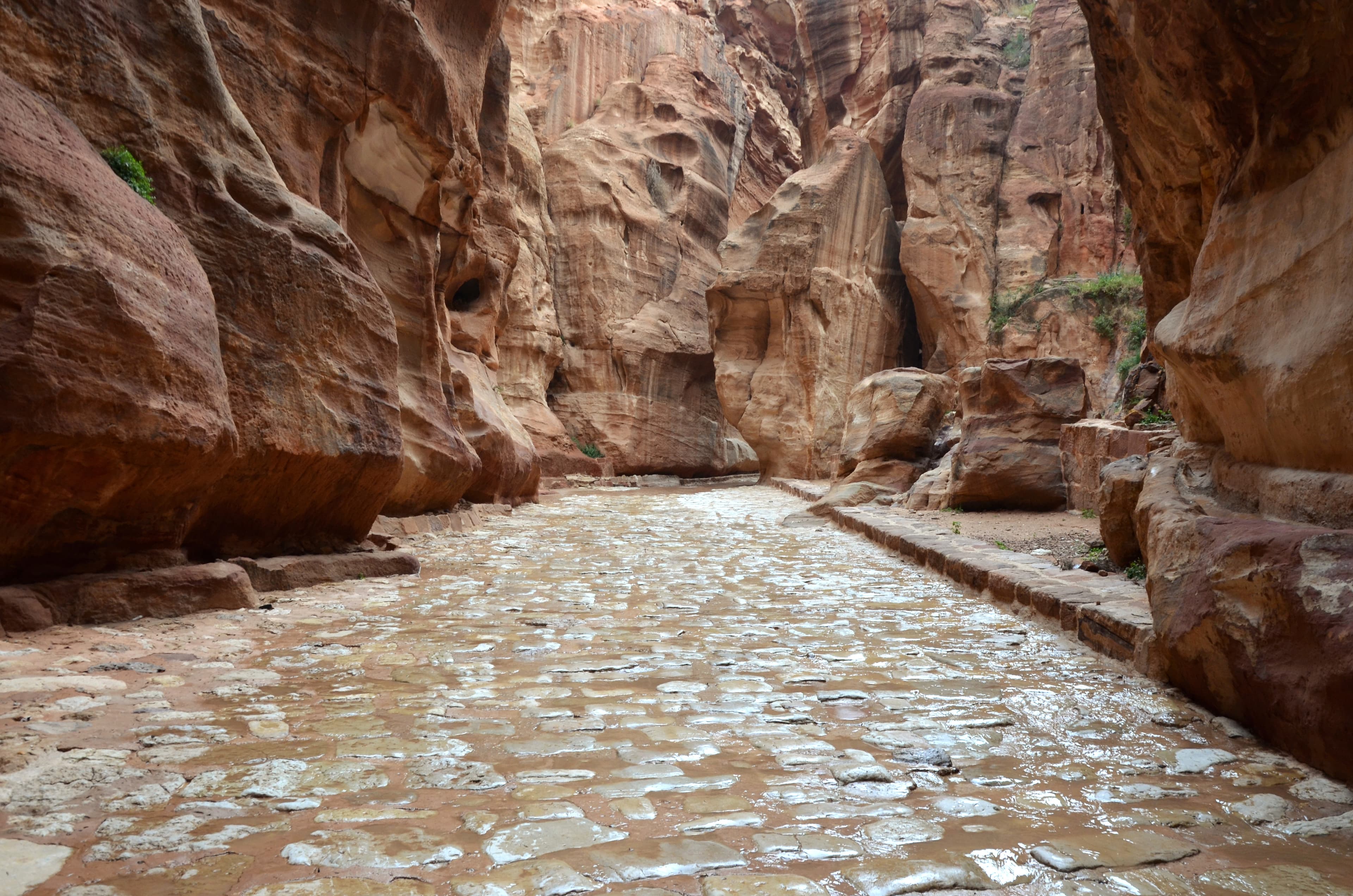 Gaung Siq yang sempit di Petra, dengan dinding batu pasir kemerahan menjulang di atas laluan.