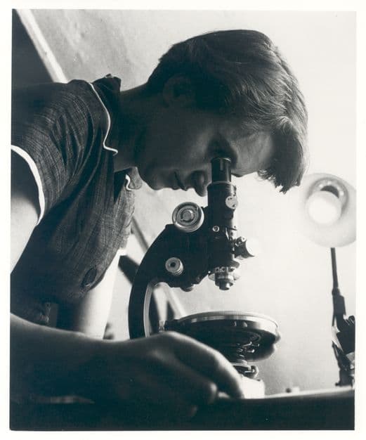Black-and-white photograph of Rosalind Franklin using a microscope in 1955