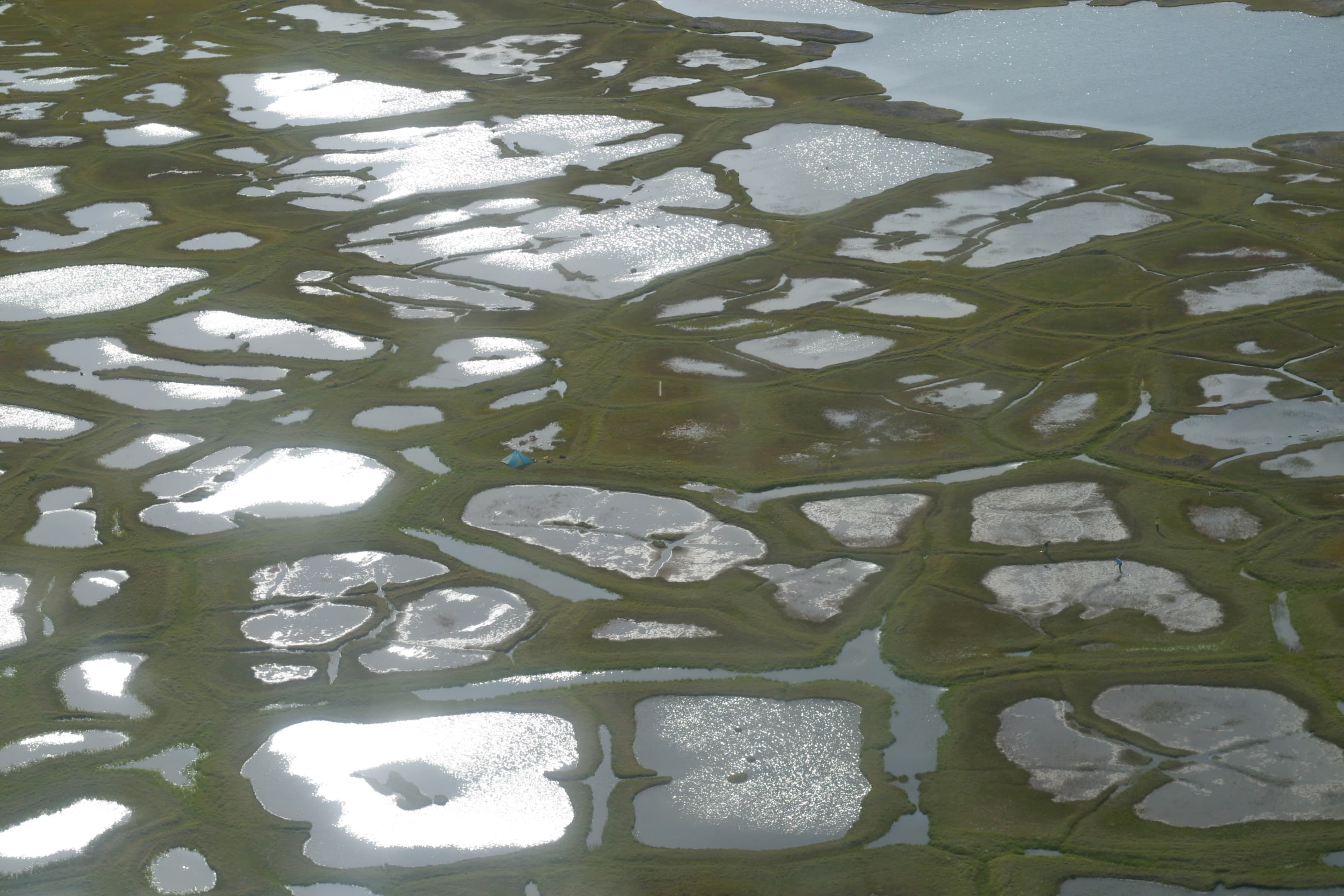 Aerial view of thermokarst lakes scattered across the Arctic Coastal Plain of northern Alaska.