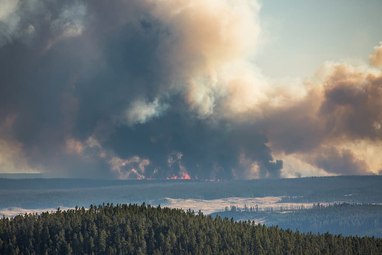 Smoke from a wildfire rising over a forested mountain landscape.